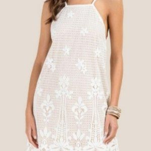 Francesca's Jasmine White Nude Lace Halter Dress M